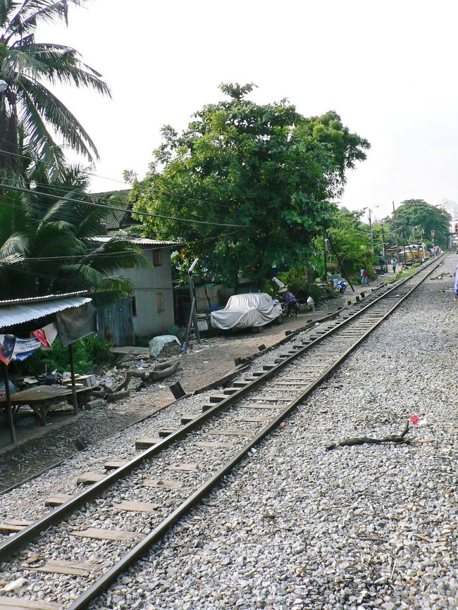 列車から見る鉄道沿いの光景。 