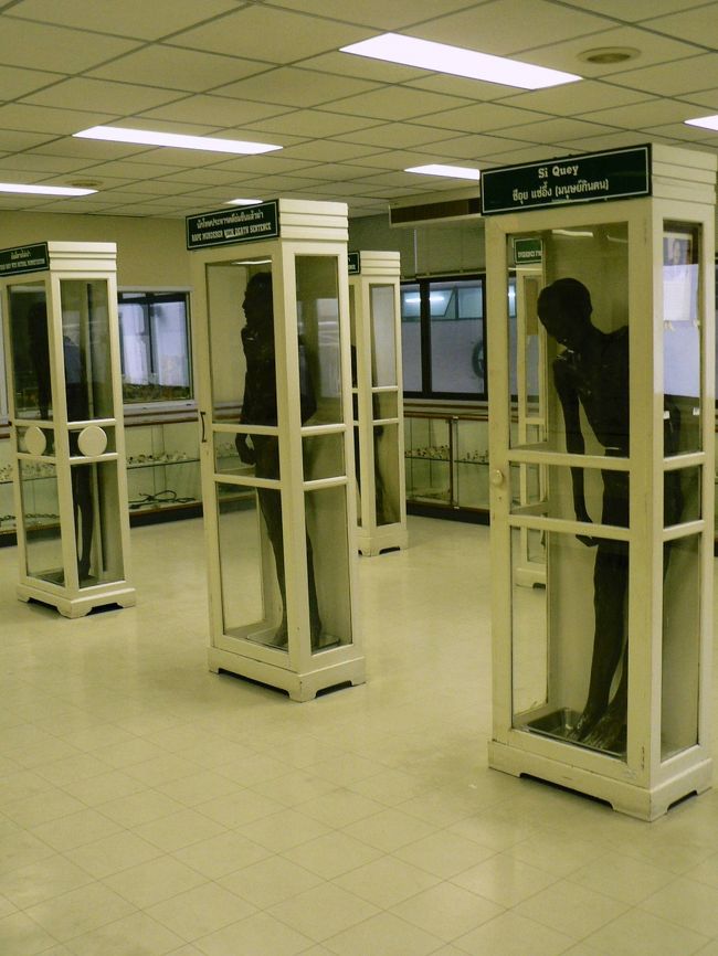 法医学（シーウィー）博物館の凶悪犯の死体標本。