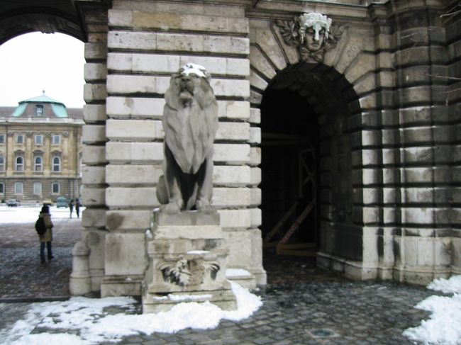 ガオーーーーーーー。