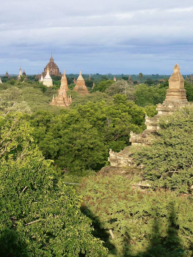 シュエグージー寺院の上部テラスから見るたくさんの寺院。