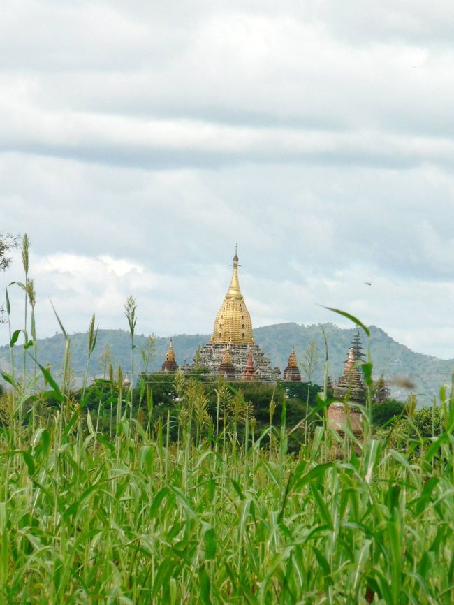 畑の中に見えるパゴダ。