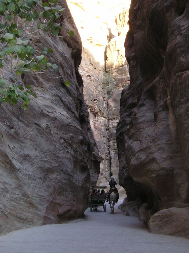 だんだん、道も狭くなっていき、心も細くなっていく。