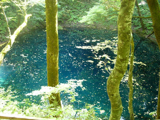 男鹿半島からさらに北へ車を走らせ、青森県との境にある十二湖にやってきました。