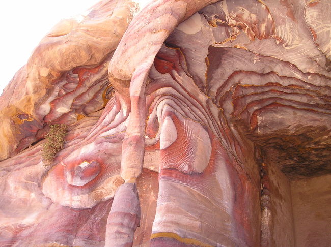 ほとんどの観光客はこの芸術作品を見に来ない。この作品を見た私は非常に運が良かったとかしか言えない。