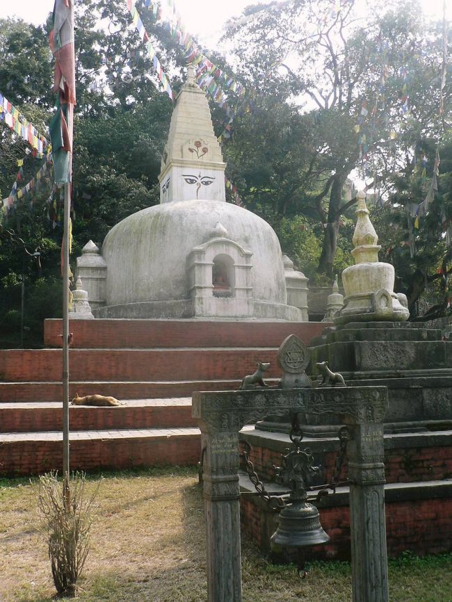 ネパール最古の仏教寺院で野生の猿が多くてモンキーテンプルとも呼ばれているスワヤンブナート。