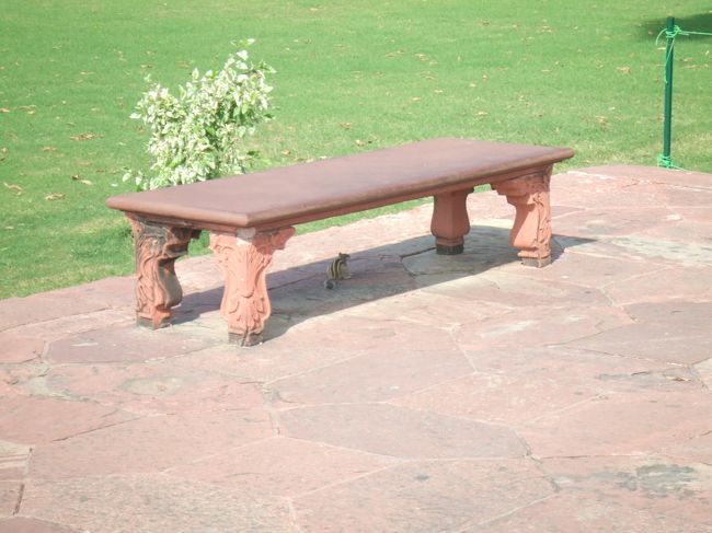 建物自体はただの墓ですがその前に広がる公園がきれい。リス発見！<br />それにしても入場料高すぎ〜