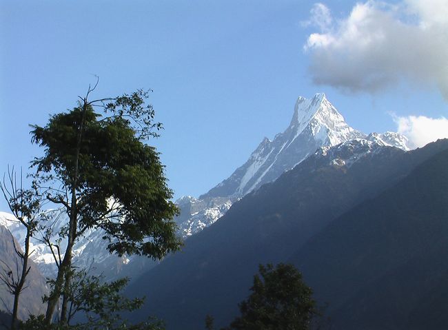 霊峰マチャプチャレ（6993ｍ）は三角形からその名の意味する「魚の尾」といわれる。<br />マチャプチャレがだんだん大きく迫って来て目前に仰げるようになる。風景の中に霊峰は聳える。<br />