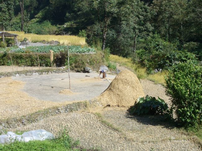 稲刈りの終わった畑地では籾の作業に大忙し。<br />豊かな山村の田舎風景。