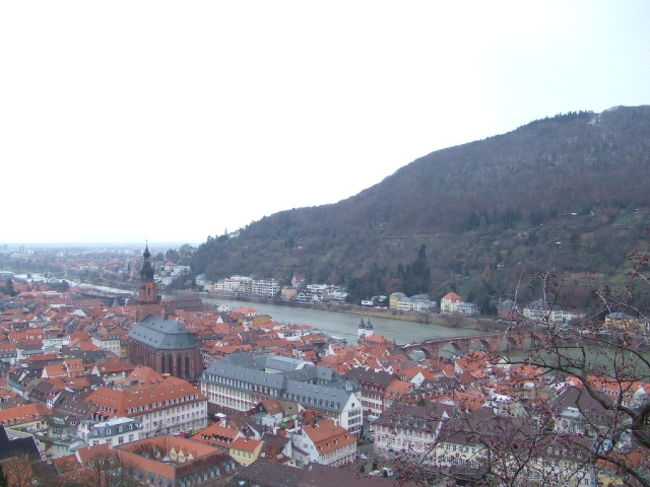ハイデルベルクのお城のテラスから見えるネッカー川と街並み