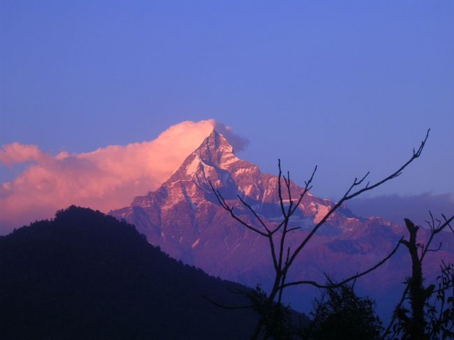 宿泊する村についてから見た夕日に染まるマチュプチャレ。ポカラから大して歩いていないけど、山がグッと近く見えてとても満足だった。