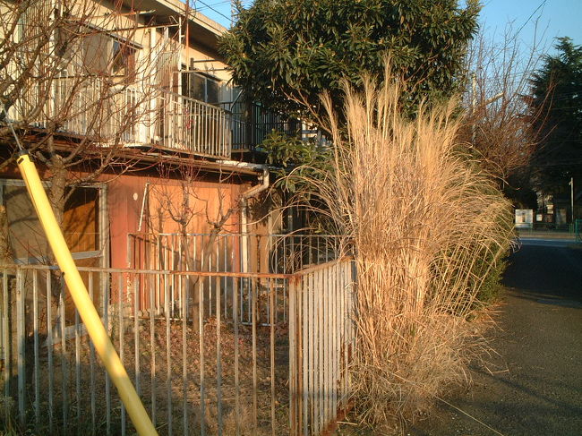 歴史はヒトの勝手で造られていく。<br />モノは抗う術がなく流されていく・・