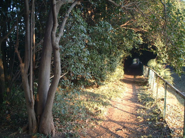 散歩の道・・<br />視界を妨げるフェンス・・