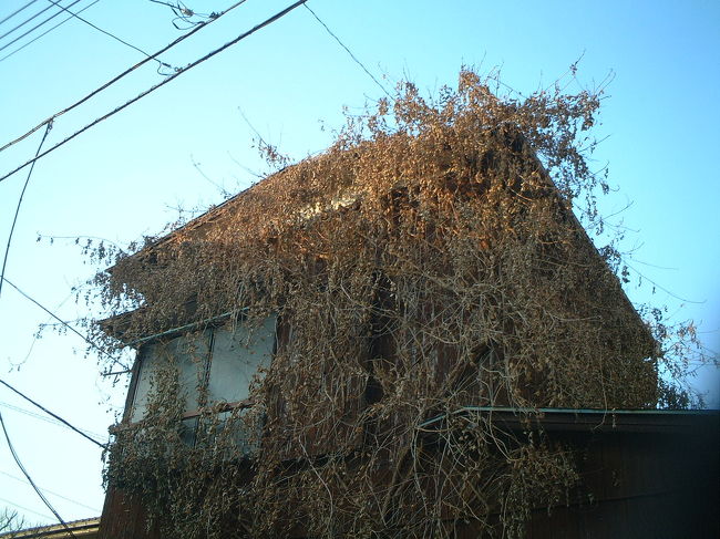 まだ、ヒトが住んでいるよう?？<br />表札があった。<br />でも、気配は無かった・・