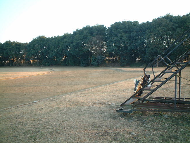 今日も心地ヨイ、秋の風が吹いていた・・