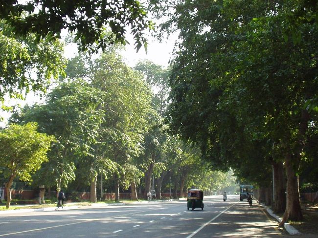 国立博物館からガンディー博物館へ向かう途中ですが、ね？キレイでしょ