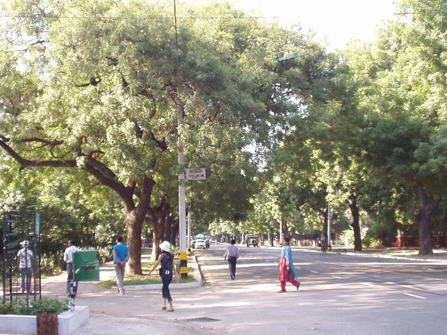 どこかにマスミンが･･･