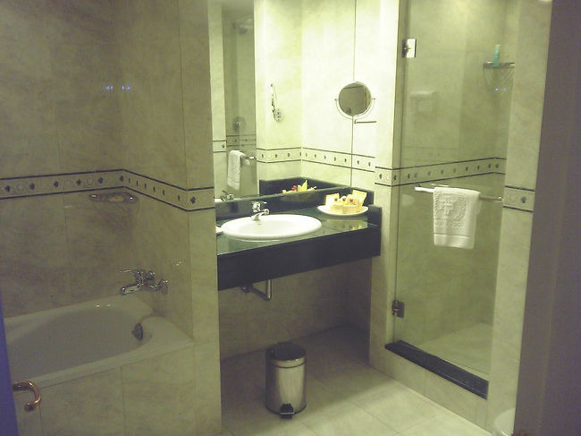 418号室のバスルーム。　広くはないが大理石で落ち着いた雰囲気にまとまっている。