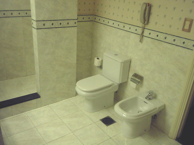 トイレ。　広過ぎてかえって落ち着かないかな・・　南米ではビデが標準装備。