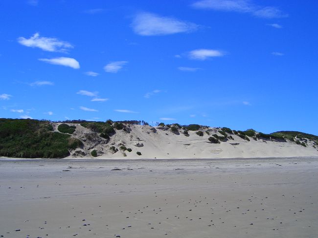 砂浜は真っ白。つい2時間半前まで世界遺産の山にいたとは思えないぐらい、タスマニアってコンパクトに名所がつまっています。