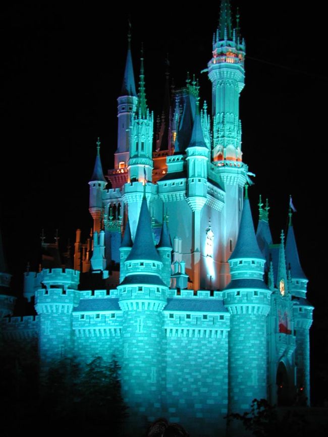 夜のシンデレラ城。　昼間とは違った大人の雰囲気を演出？　しばらくの間眺めていましたが、本当におとぎの国のようでした。