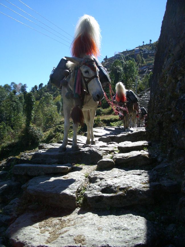 ろばの隊列を坂の下から通り過ぎるのを眺める。<br />ジャラン、ジャランと首につけた鈴の音が大きな風景に包み込まれるように余韻を残して消えていった。<br /><br />一瞬の風景は素晴らしかった。