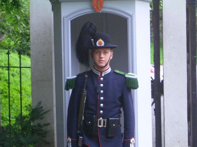 オスロに来る前に、とある女性から頼まれていたこと。それは王宮の衛兵さんの写真を撮ってくることです（笑）。北欧諸国は美形が多いんですが、衛兵さんは見た目も重視で選ばれるとのこと。若くてイケメンが多いそうです（友人談）。ちなみに王宮では女性やアジア系の衛兵さんも警備に着いていらっしゃいます。