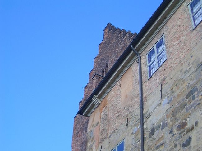 蒼穹、ですよね。何も考えずに撮った一枚なんですがこの空の青さ、吸い込まれそうです。