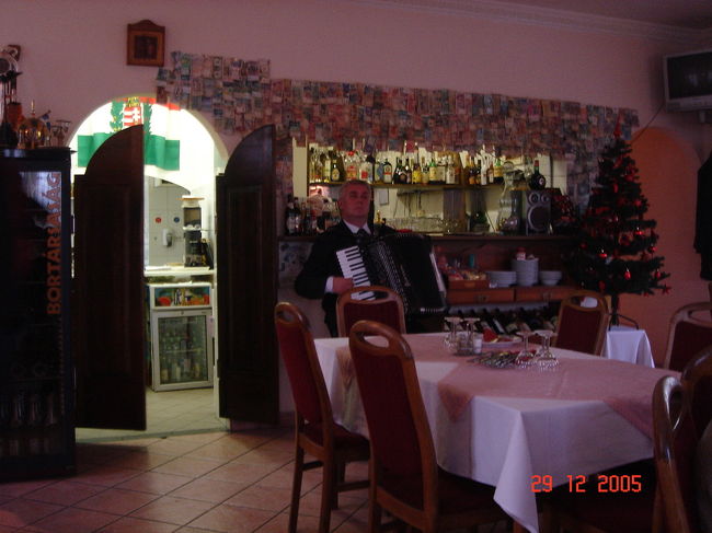 店内では　アコーディオンの演奏をしていました。