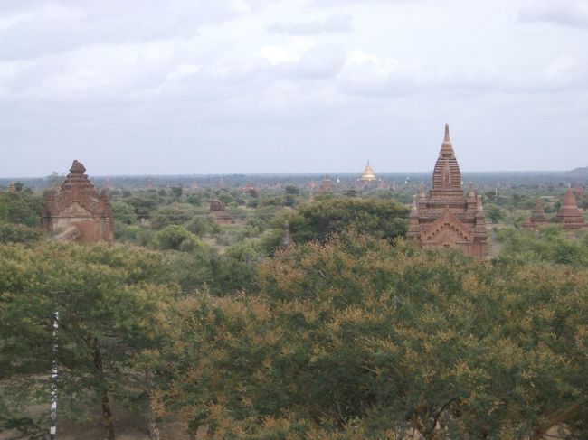 バガンのパゴダ。翌日、レンタサイクルでオールドバガン地区に来て一人で観光したが、どこに行っても荒野の中に無数のパゴダで同じような風景が続く。セコセコ動き回るのが嫌になってきたのでノンビリと1箇所に時間をかけボッーとすることにした。中に入れるパゴダの前には、土産売りがいて、パゴダの中に入ろうとすると｢お兄さん！！｣と外国人特有の発音の日本語で呼び止められ、土産売りの方を振り返るといきなり｢カッコいいねェ。｣と言われ。そ　の後に続く言葉が仏像みたいなものを見せ｢これ安いヨ｣、｢これもカッコいいヨ｣などなど。こんなシーンが何回もあった。誰が教えたか知らないが、呼び止めて｢お兄さんカッコイイネ｣というセールストークには笑えた。