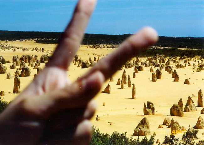 ピナクルス。パースから近い国立公園。不思議な場所