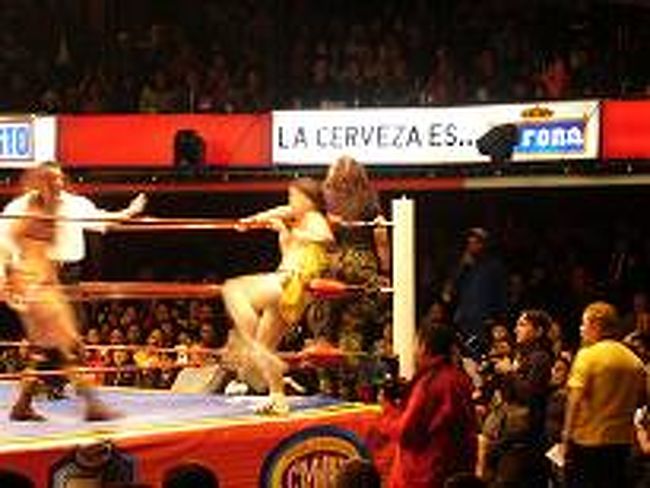 その後、メキシコシティーに戻り<br />メキシコ名物のプロレス（ルチャリブレ）を見に行った。<br /><br /><br /><br />場内は満席で異様な盛り上がり！<br />この雰囲気を味わえて良かった。<br /><br /><br /><br /><br /><br /><br /><br /><br />メキシコのプロレスはいいもんと悪いもんに<br /><br />別れて戦うエンターテイメント性の高いプロレスだ。<br /><br />もう最初からストーリーはできている感じ。<br /><br /><br /><br /><br /><br /><br /><br /><br />３VS３の対決が全部で５戦あったのだが、<br />３戦目の女子戦で　なんと　<br /><br />日本人女子レスラーが着物を着て登場！　<br /><br /><br /><br /><br />まさかメキシコで日本人女子プロレスラーがいるとは！<br />日本女性はたくましい！！<br /><br /><br /><br />日本人は悪役側だったが、日本語で<br /><br /><br />「このメキシコ人が！！！　バカヤロー！！　バカヤロー！！」<br /><br /><br /><br />って言って　キック浴びせてた！<br /><br /><br /><br /><br /><br /><br />※黄色の服の女の日本人女性レスラー<br /><br /><br /><br /><br />最後は飽きてしまったが１回は見ておいてよかった！<br /><br /><br /><br />宿に帰ったのは深夜１２時過ぎ。　<br /><br />Aさんと日課の筋トレをしておやすみなさい！<br /><br /><br /><br />明日はメキシコシティ→オアハカに移動します。<br /><br /><br /><br /><br />＜今日の物価＞<br />■メキシコプロレス代　１５００円（ダフ屋にちょっとマージン取られた）<br />■安めのレストラン　メキシカンステーキ・パン・水　５００円<br />■タオル　市場にて：１００円<br />