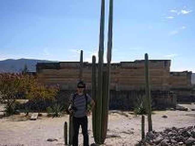 ■メキシコ５日目■<br /><br /><br /><br /><br />今日はミトラ遺跡や伝統織物工房見学<br />などがセットになった1日ツアーに参加してきた。<br /><br /><br /><br /><br />ミトラ遺跡はスペインが占領した14世紀頃に<br />宣教師によって発見されたが、あまりの生け贄<br />（イケニエ）の多さに再度封印してしまったらしい。<br /><br /><br /><br /><br /> <br /><br /><br /><br /><br />ガイドの話によるとイケニエは最初、豚などの<br />家畜・動物だったが、だんだん人間1人・・・<br />２人・・・・家族全員という具合に<br />エスカレートしていったらしい。<br /><br /><br />天災や疫病などが続くと神の怒りをおさめるために<br />エスカレートしたのだろうか。<br /><br /><br /><br /> <br /><br />※織物工場の実演風景<br /><br /><br /><br /><br /><br />ツアーが終わってから、そのツアーで<br />一緒だった日本人の女の子と3人で<br />夜ご飯を食べにいった。<br /><br /><br /><br />今日のディナーは久しぶりにいいもの食った。<br /><br />オアハカ名物のチーズを使った<br />チーズフォンデュが最高だった！！<br />メキシコではチーズフォンデュにも<br />チリをつけて食べるのだがなかなかいける！<br /><br /><br /><br /><br />彼女はSFC大学卒業後、JAICA青年海外協力隊<br />に入り今、メキシコの南にあるベリーズという<br />超マイナーな国で観光開発の支援をしているという。<br />休みを使ってスペイン語の勉強に来てるとこらしい。<br /><br /><br /><br /><br />24歳なのに英語はもちろん、フランス語、<br />スペイン語まで結構話せて、国際協力に対する<br />志もとっても高く非常に刺激を受けた。<br /><br />やっぱSFC出身の人は優秀だ。<br />メキシコに来てまでSFCの優秀さを改めて<br />感じるとは・・・・・・<br /><br /><br /><br /><br /> <br /><br /><br />ついつい、前の会社のSFC出身の後輩達を<br />思い返しちゃいました。<br /><br /><br /><br /><br />＜今日の物価＞<br />■1日ツアー：２５００円（入場料・ランチ代別）<br />■チーズフォンデュ2人前：９００円<br />