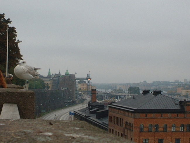 ちょっと高台からの風景です。