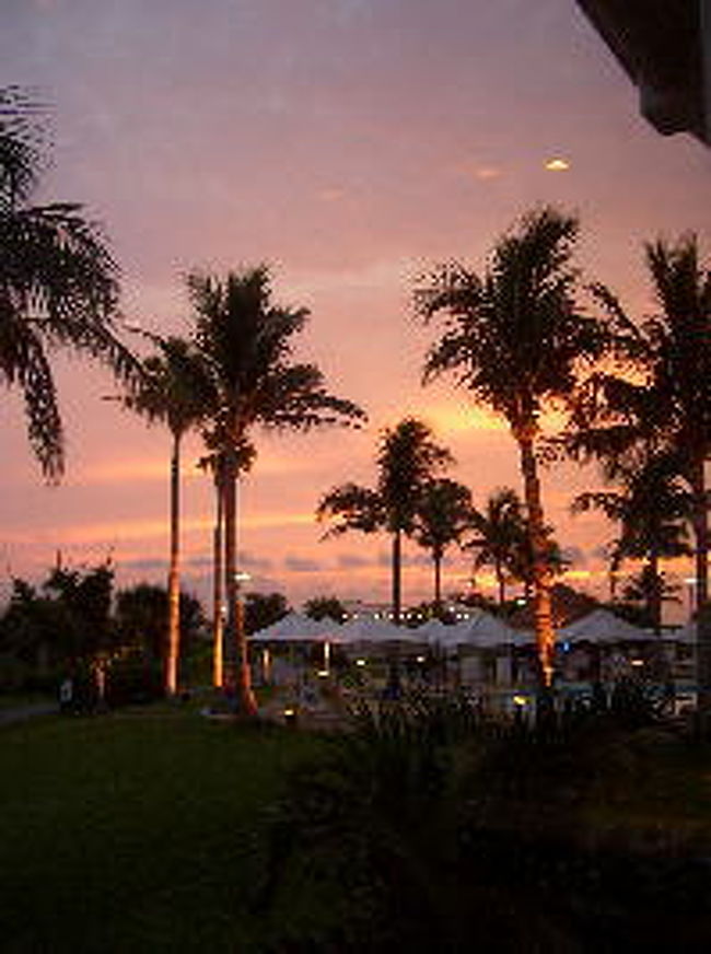 レストランからの眺め