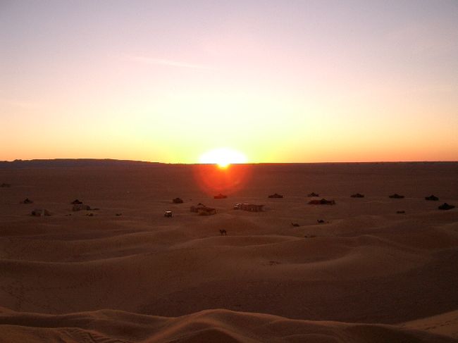 出てきた出てきた！姿を現すと一気に出てきますね！