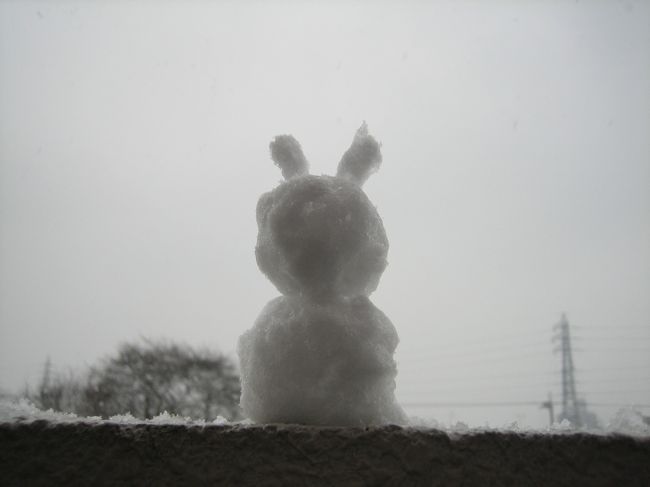 雪ラビちゃん。<br />「寒いの。寒いの。」