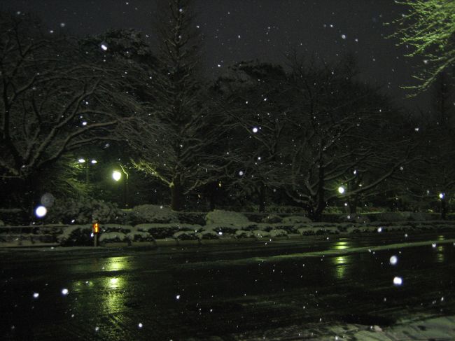 大通り。<br />朝からずーっと降っています。