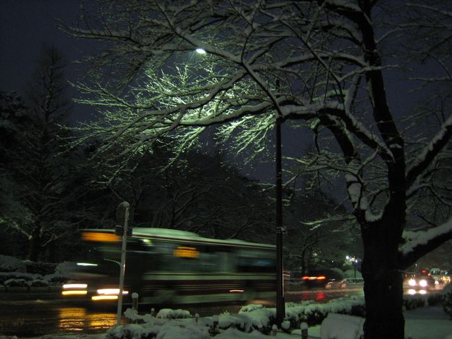 シュゴー。<br />バスが通ります。