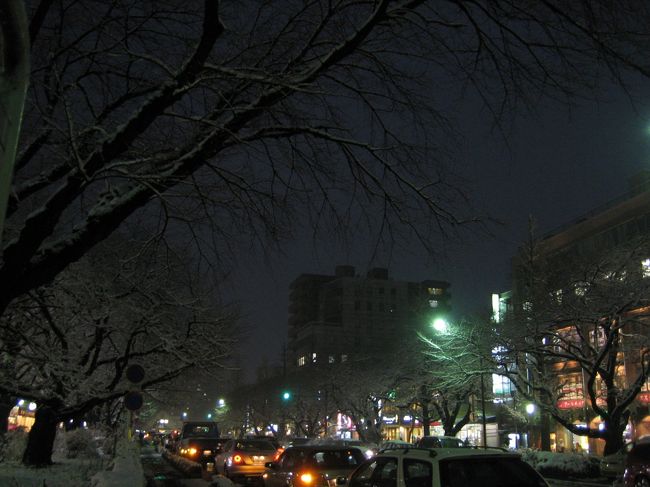駅に向かって。<br />街の灯りが降る雪に淡く映ってきれい。