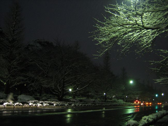 多分雪のため、人通りが少ないです。<br />