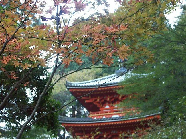 ここも紅葉が美しい。