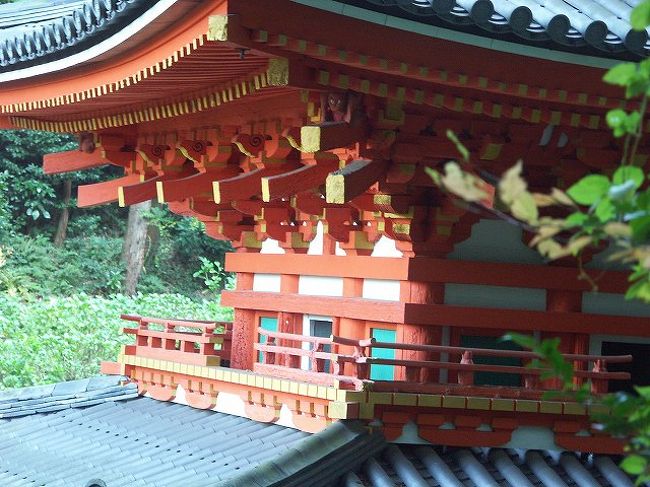 一日が短い、もう帰りの時間でした。