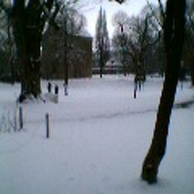 この時季は寒い、寒い