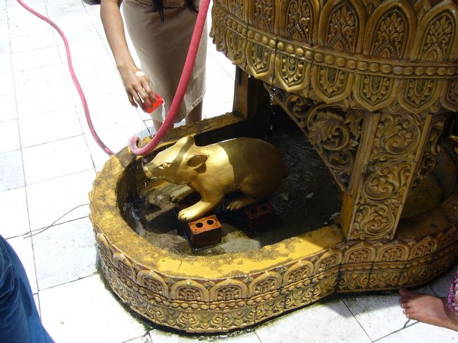 ちなみに僕は金曜。<br />象徴となる動物はモグラです。