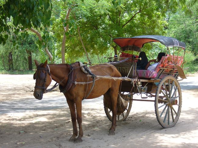 初日は馬車をチャーター（その後は自転車）<br />自転車のほうが楽しい！！