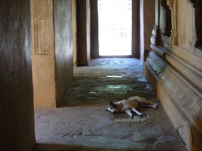 寺院内はひんやりしている<br />