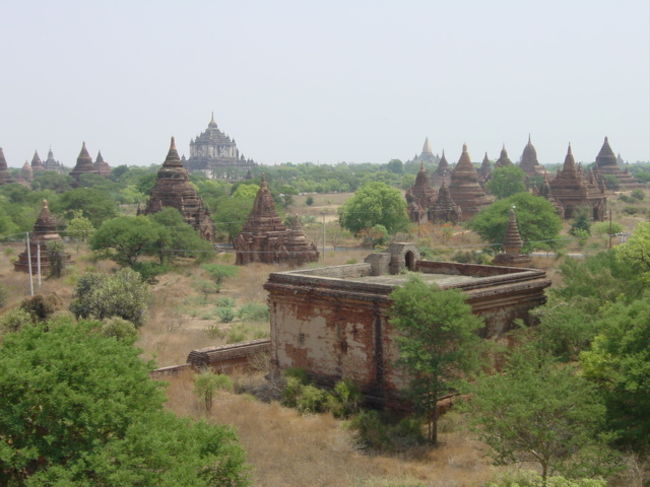 バカンはこのような仏舎利塔が無数に広がる所です。とにかく数に圧倒されます。