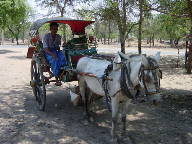 移動は馬車をチャーター、いい感じです。