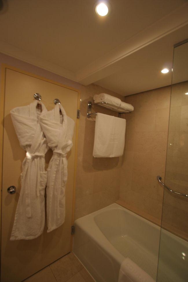 ８日目−イスタンブール−CONRAD INTERNATIONAL ISTANBUL。今回の旅行の中で一番良いホテルでした。ものすごく安い旅費だったんですが、何でこんなホテルに泊まれたのか謎です。