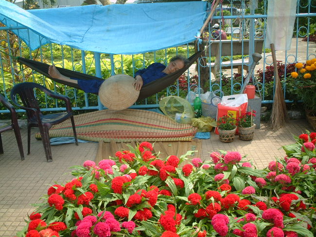 ハンモックでうたたねするお花売りのおばあちゃん。<br />市場では、売りつかれたら売り子さんがハンモックで寝て、お客さんが着たら起きて売る、というかんじだそうです。 観光客を狙ったスリはいても、売り物どろぼうもいないんだって。 <br /><br />なんだかお時間がゆっくりと流れていました。 <br />